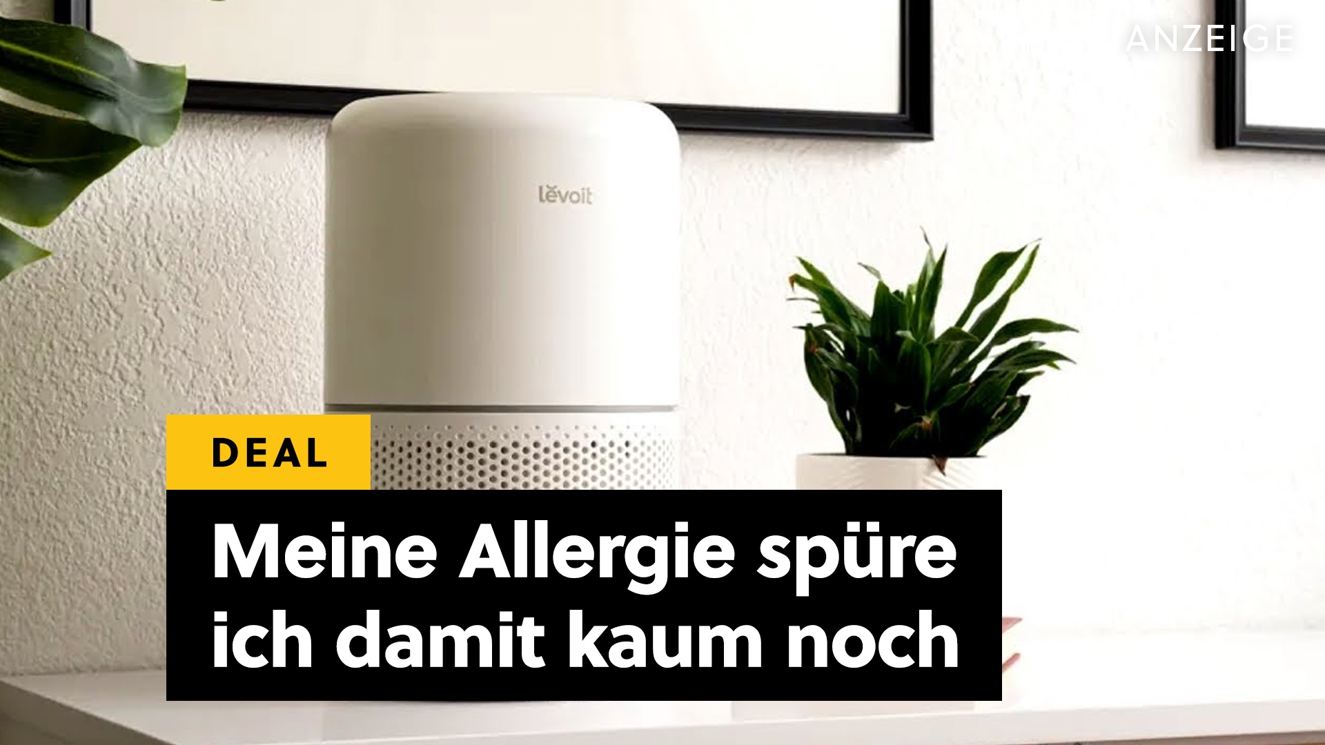 Deals: Pollen - Endlich habe ich etwas gefunden, was gegen meine Allergie hilft! [Anzeige]