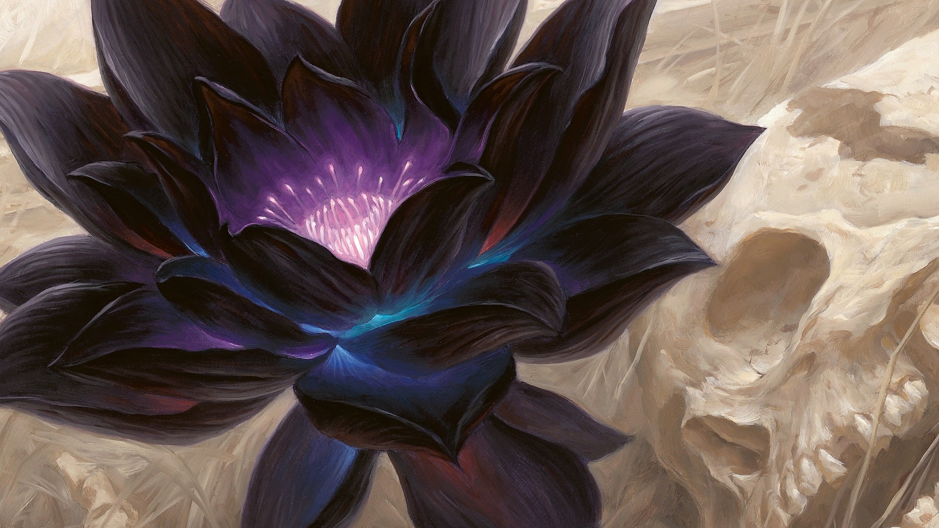 MagicKarte für 166.000 Dollar Schwarzer Lotus setzt neuen Rekord