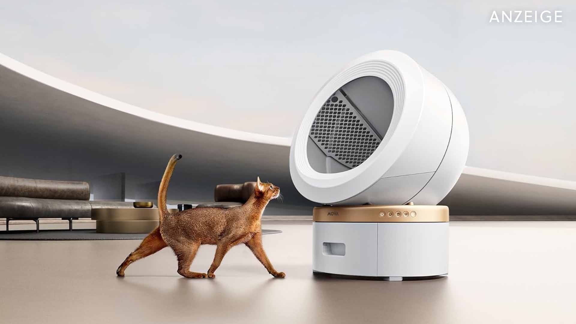 Nie wieder schaufeln - Dieses automatische Katzenklo wird nicht nur eure Katze lieben! [Anzeige]