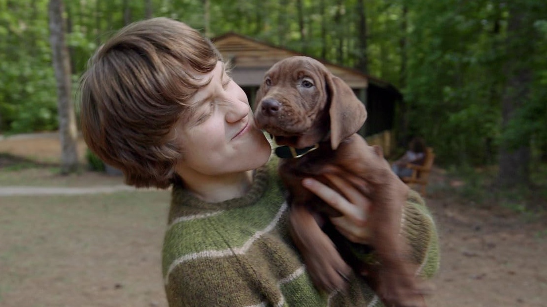 News: Scooby-Doo - »Albernes CGI wäre mir lieber« - Netflix setzt für die neue TV-Serie auf einen echten Hund und das sorgt für hitzige Debatten