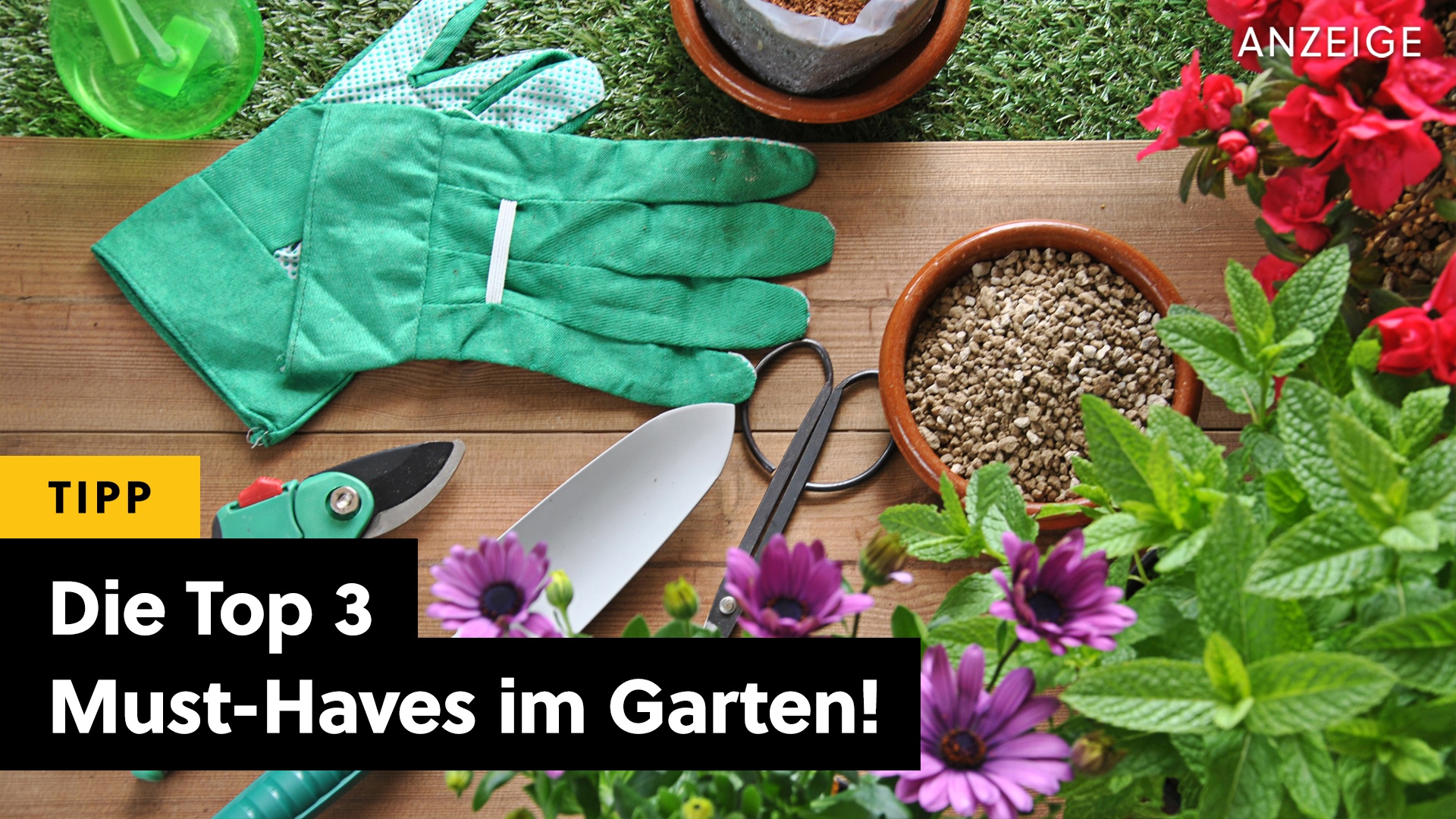 Garten-Tipps - Diese Top 3 Dinge sollte es in jedem Garten geben! [Anzeige]