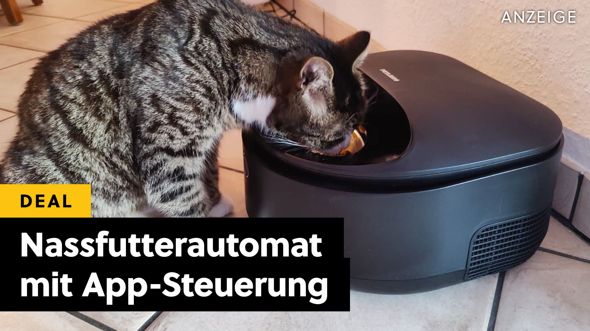 Deals: Nassfutterautomat - Füttert euren Vierbeiner, auch wenn ihr nicht zu Hause seid [Anzeige]