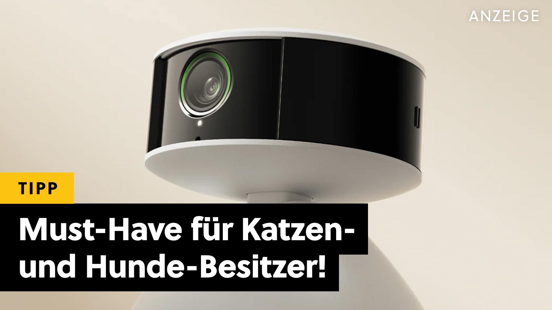 Haustierkamera - Das perfekte Weihnachtsgeschenk für Katzen- & Hundebesitzer im Angebot! [Anzeige]