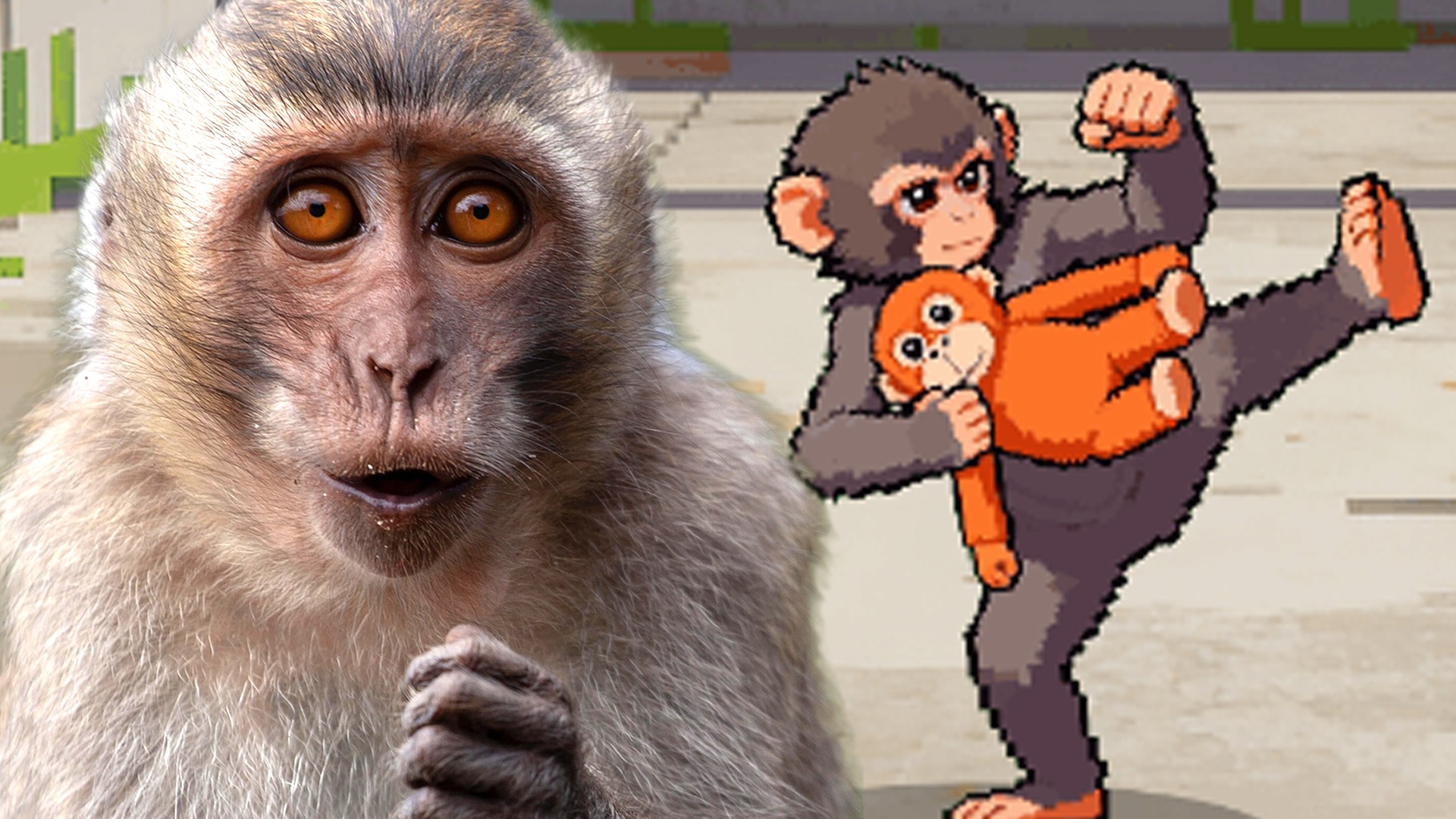 News: Baby-Affe Punch - Er ging wochenlang in sämtlichen Medien steil, jetzt bekommt er sein eigenes Videospiel