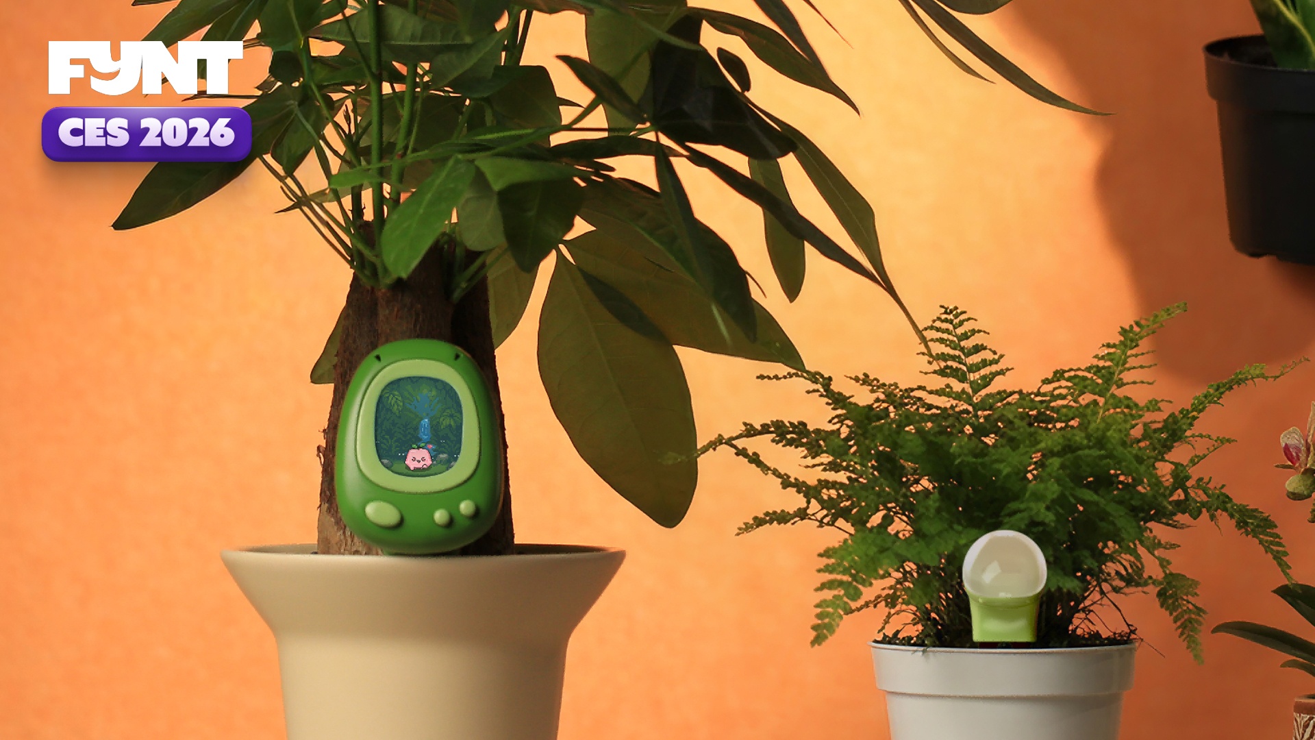 Gadgets - CES 2026: Für alle ohne grünen Daumen gibt es bald einen Pflanzensensor im Tamagotchi-Stil