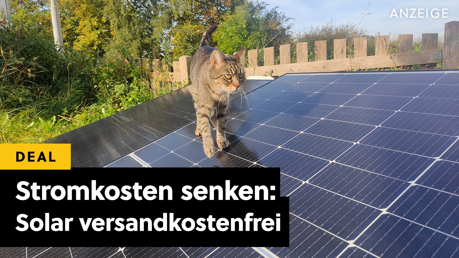 Deals: Stromrechnung senken - Jetzt zuschlagen, Frühling is coming: Vier Solarmodule mit 0€ Versand [Anzeige]