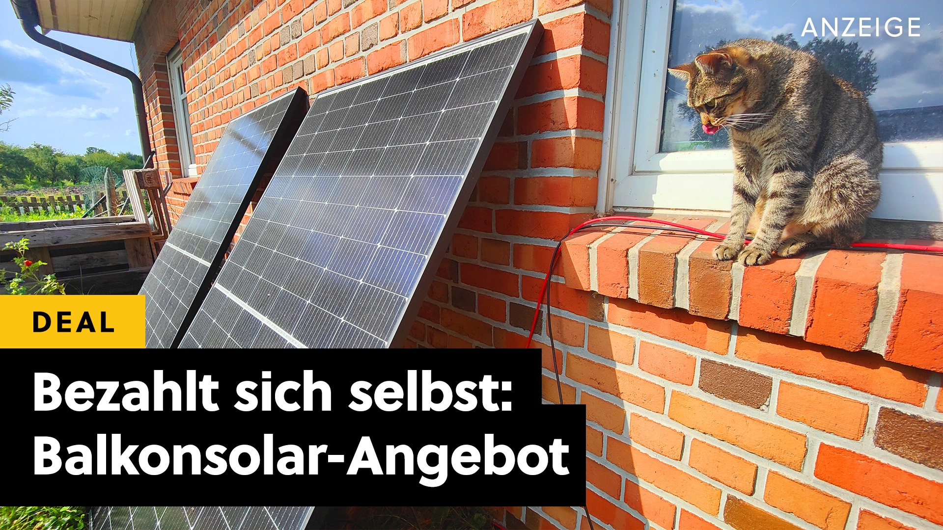 Deals: Strom? Mach ich selbst... - Dieses günstige Balkonkraftwerk kann sich in zwei Jahren selbst bezahlt haben [Anzeige]