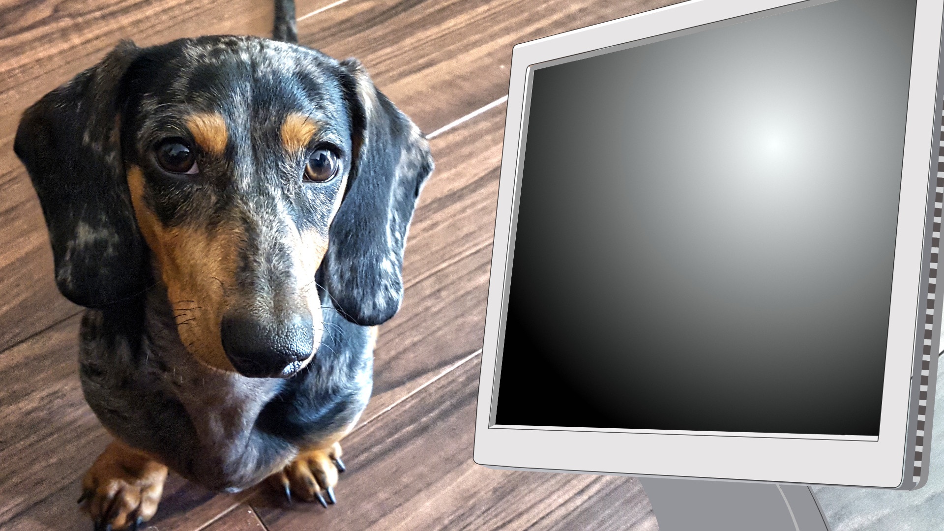 #Kein Scherz: Jetzt werden Videospiele für Hunde entwickelt – mit sabberfestem Display