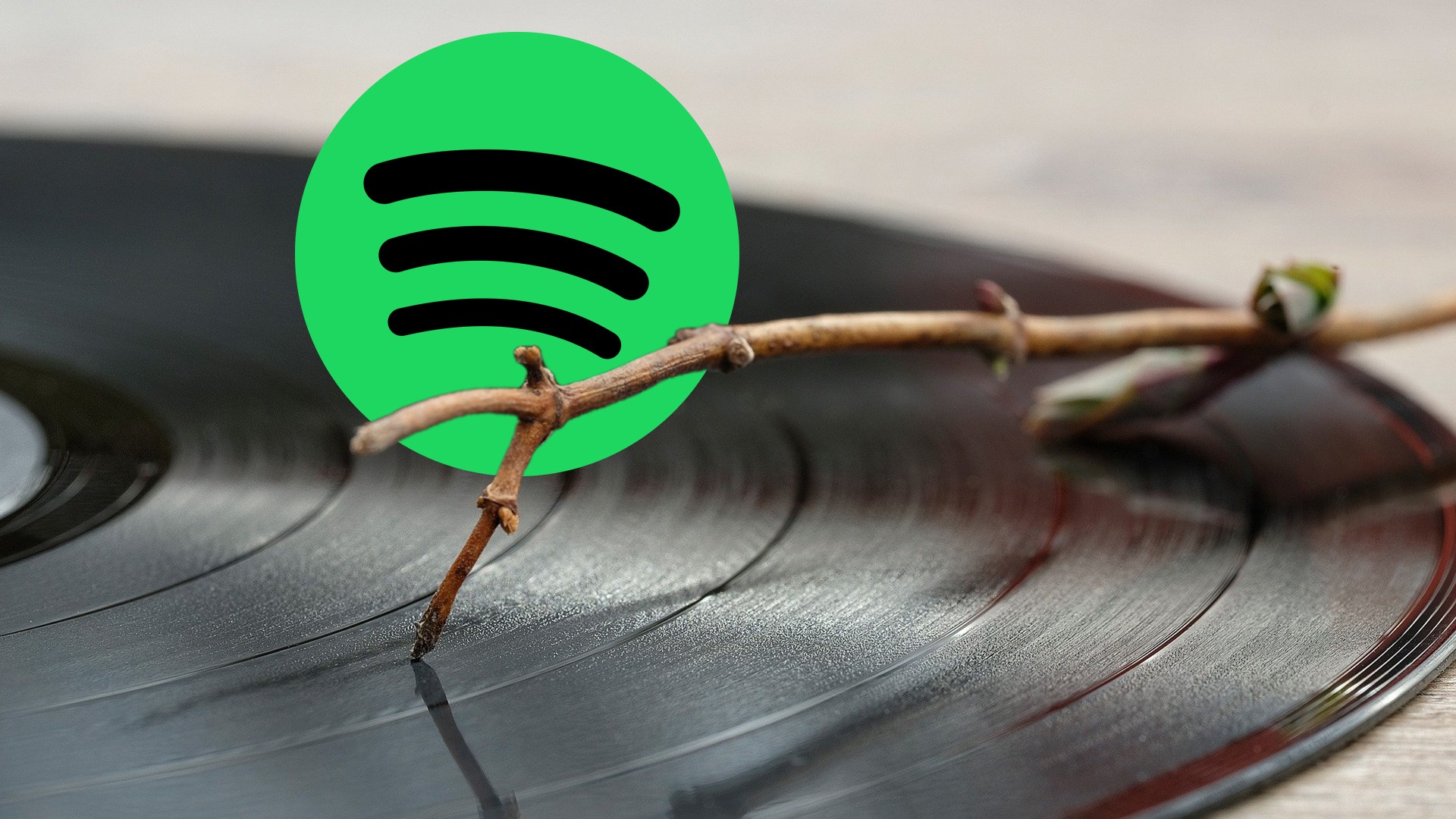 Spotify: Wie ihr mit einer versteckten Einstellung Songs und Podcasts in besserer Qualität hört