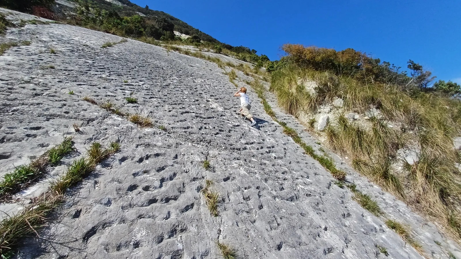 Special: Wissenschaft - Felskletterer in Italien entdeckten zufällig Spuren einer 80 Millionen Jahre alten Meeresschildkröten-Stampede