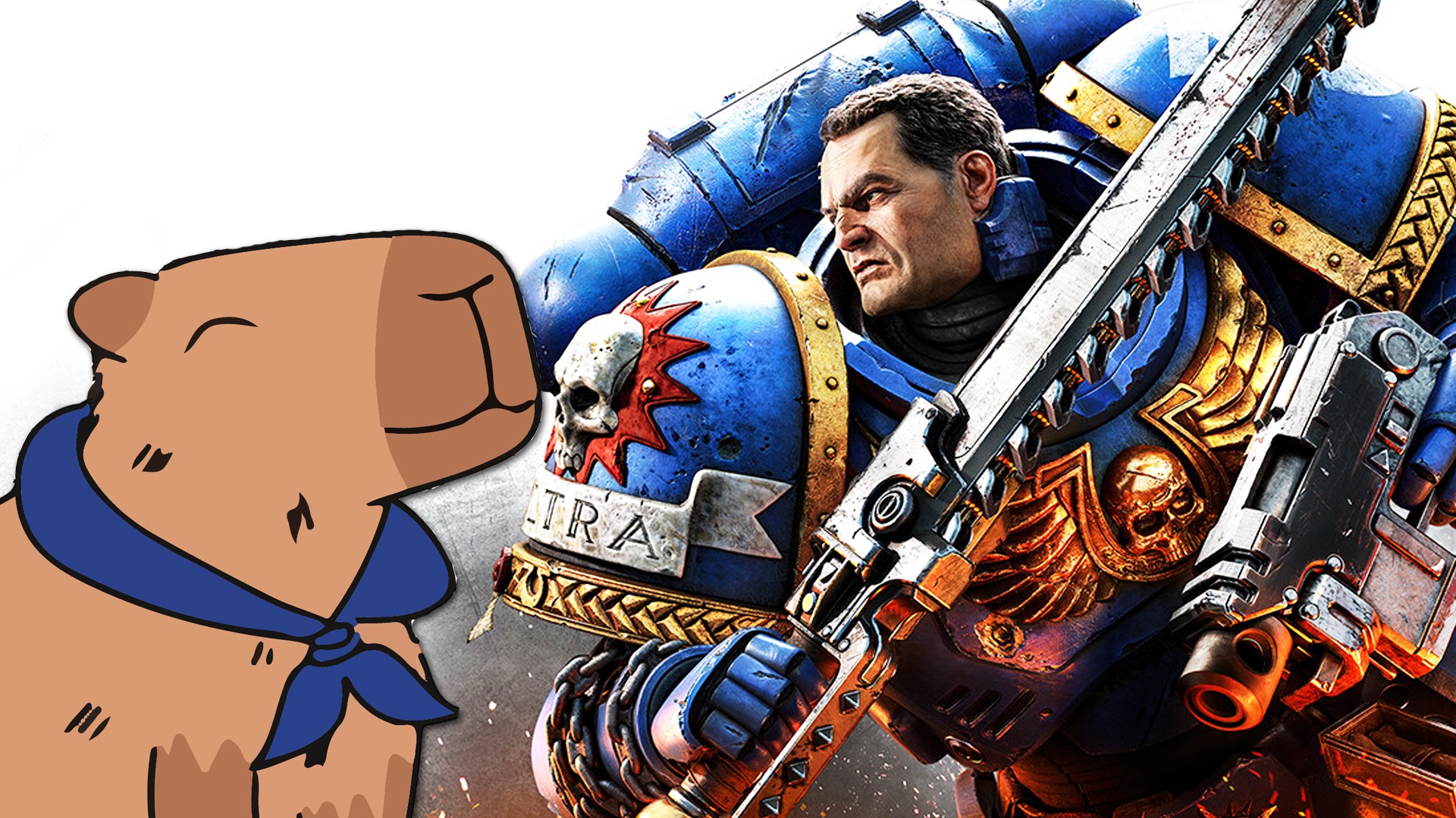 News: Steam - Der Shop schafft die Kategorie für Warhammer 40k ab, dafür gibt es jetzt einen Capybara-Tag - jüngstes Update sorgt für Verwunderung