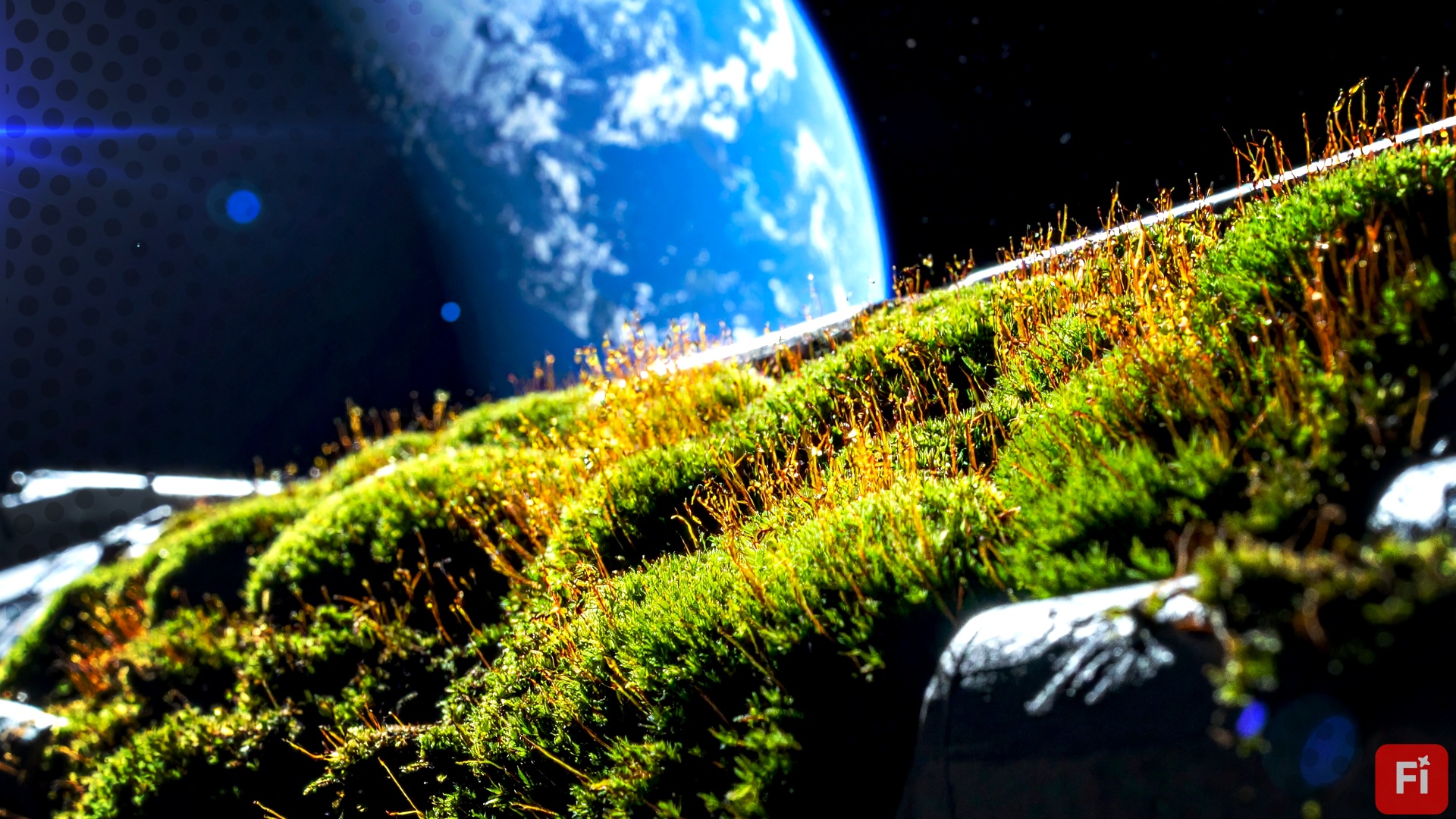 News: Raumfahrt - Forscher haben Moos für 283 Tage an die Außenhülle der ISS geklebt – für uns ein erster Schritt zur Begrünung fremder Welten