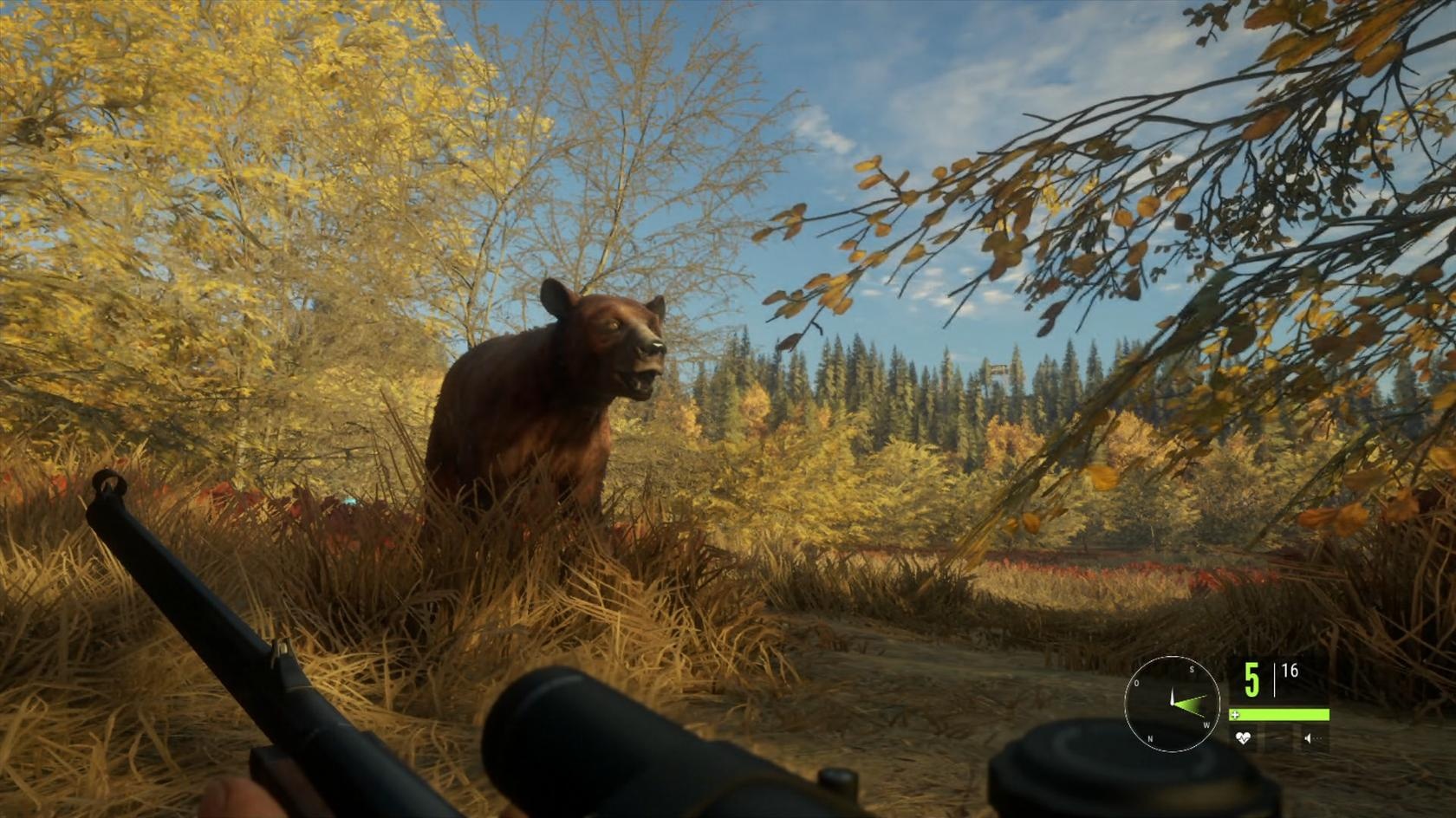 The hunter call of the wild boar map - footgasm