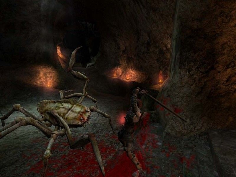 the witcher the witcher