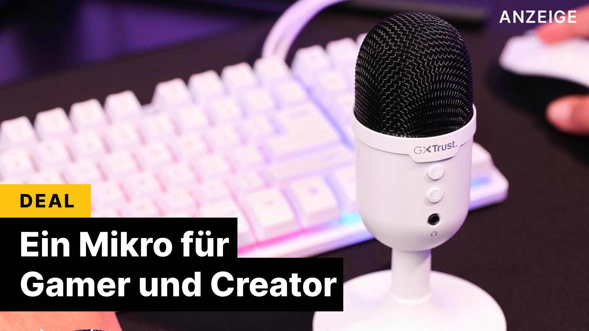 EIn Mikro mit perfekter Qualität, ohne arm zu werden? Das geht!