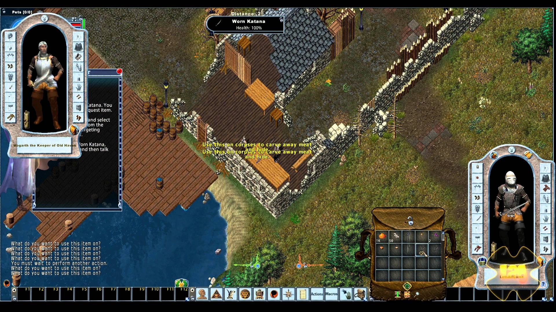 Ultima Online - EA glaubte zunächst nicht an Erfolg