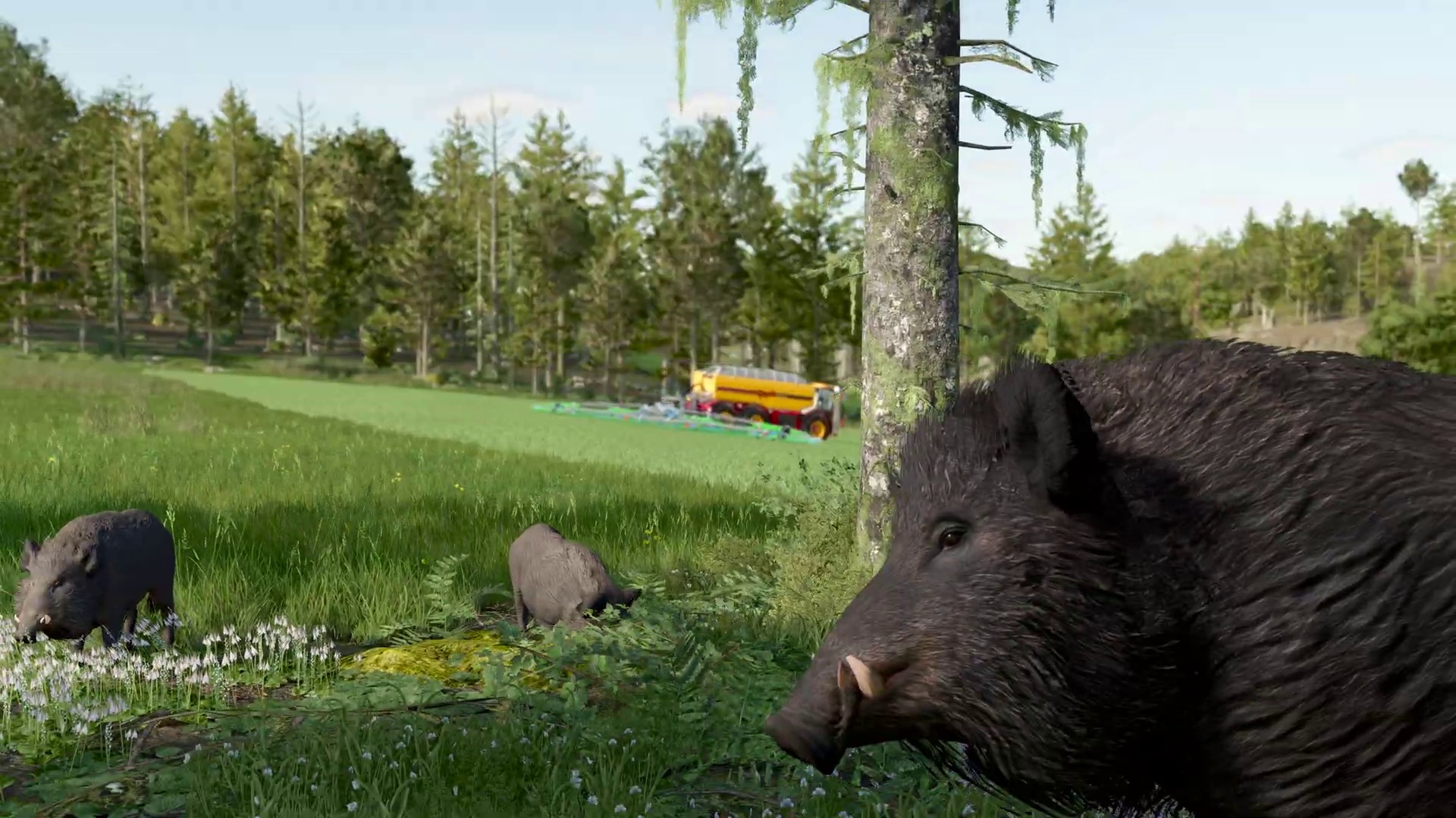 Video: Im Landwirtschaftssimulator 25 ruinieren euch jetzt Wildschweine eure Ernte, wenn ihr nicht aufpasst