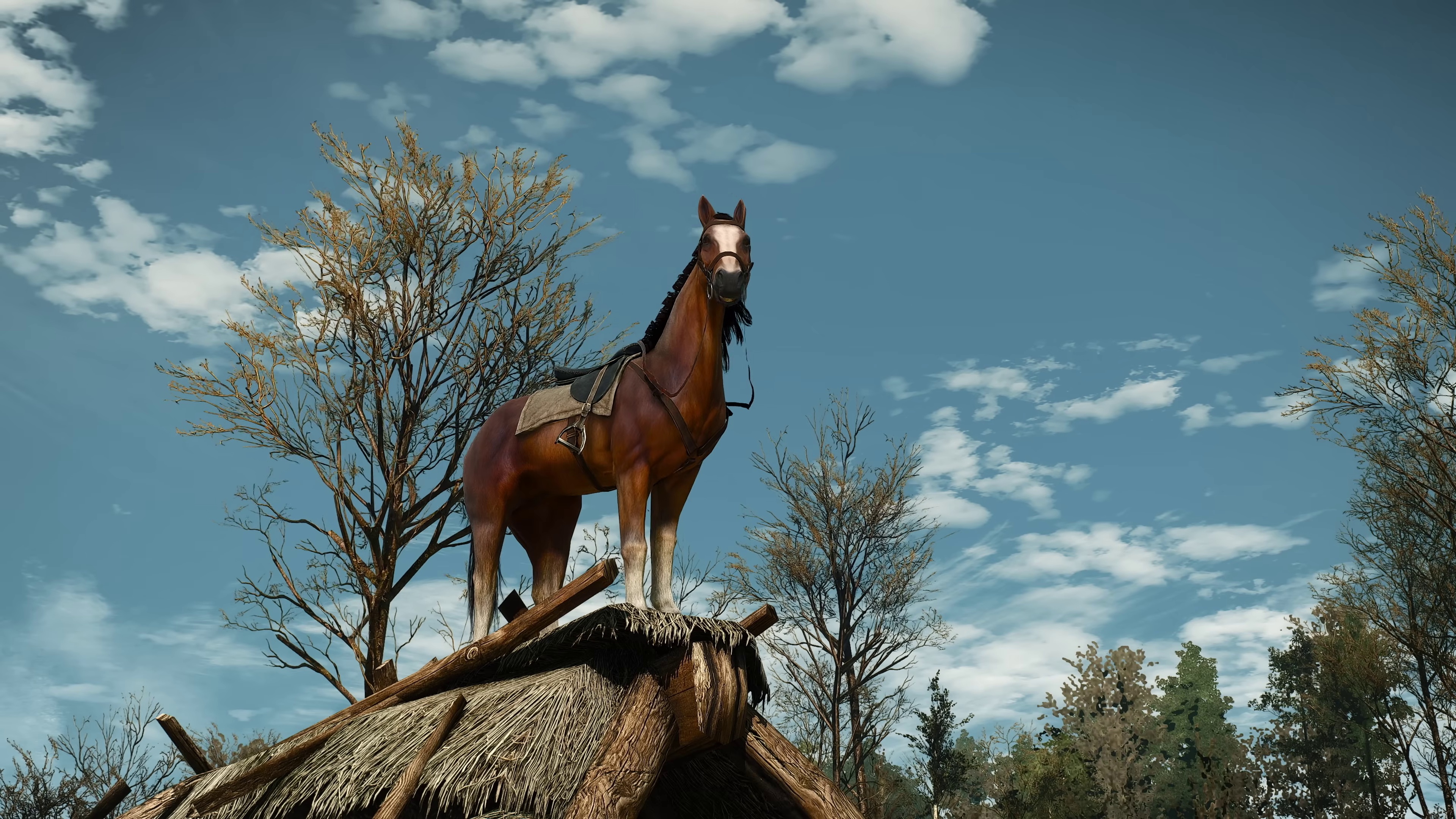 Video: »Ihr Schweine« - CD Projekt Red kündigt gerade heute etwas Neues für The Witcher 3 an und die Fans fallen voll drauf rein