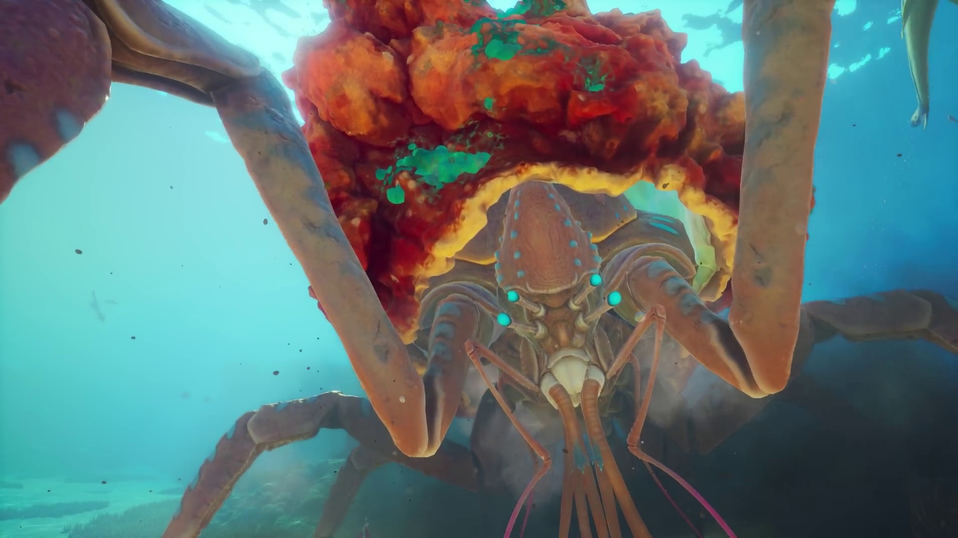News: Subnautica 2 - Das Survivalspiel warnt kurz vor dem Start vor dem sicheren Tod und die Fans so: »Ich schwimm da direkt hin«