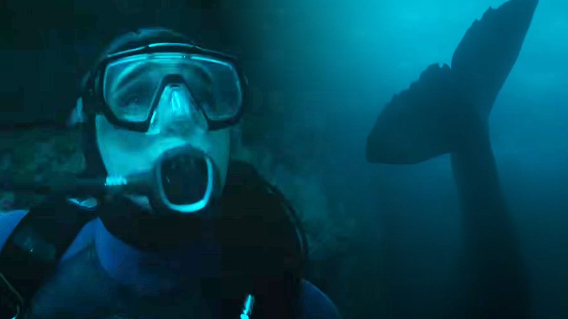 Video: Er hat sich das nicht ausgesucht: Im Survival-Thriller Whalefall wird ein Taucher vom Wal verschluckt und kämpft im Inneren ums Überleben