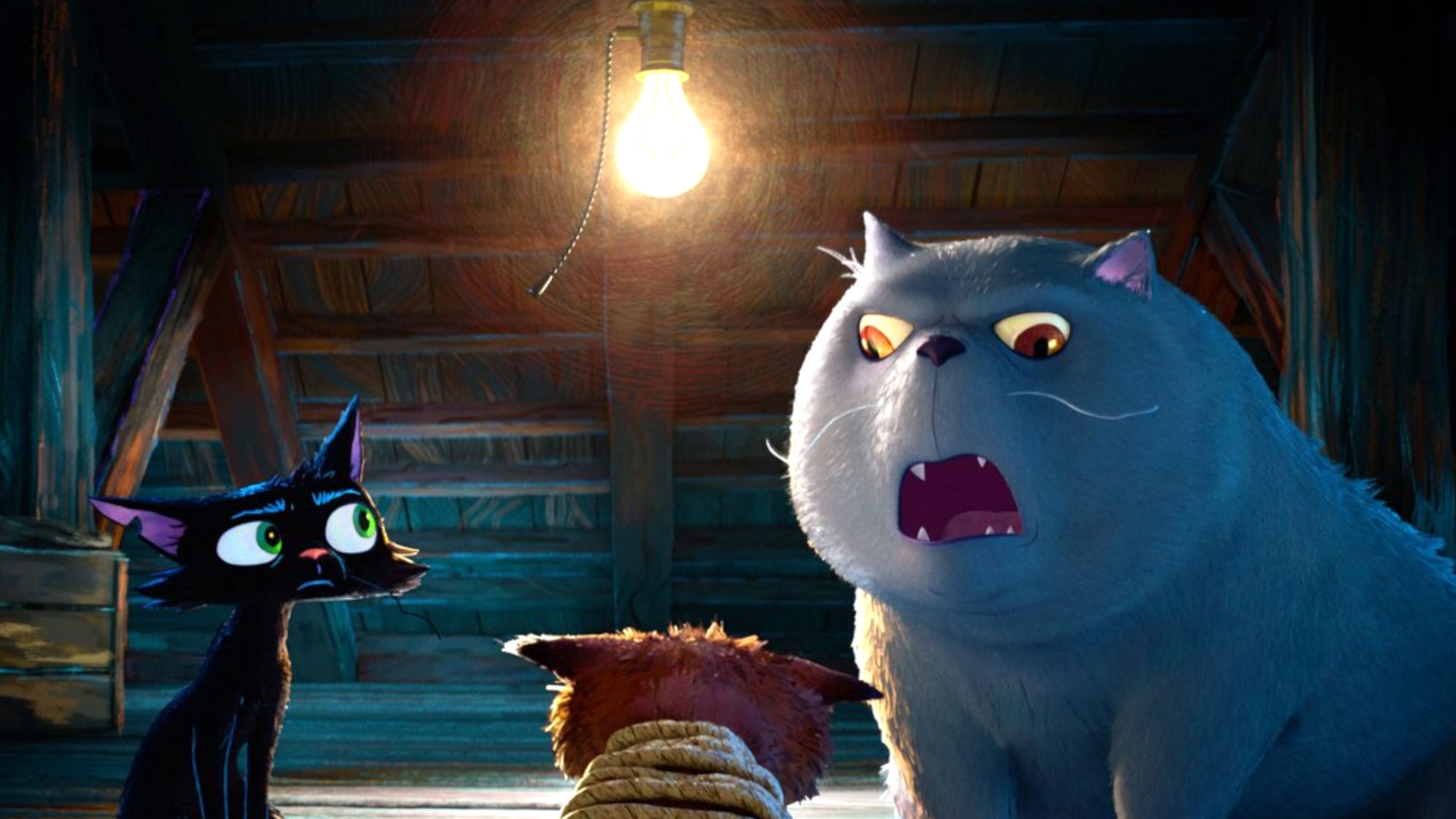 Video: Der neue Pixarfilm Gatto lässt eine kriminelle Katze auf den schönsten Ort der Erde los