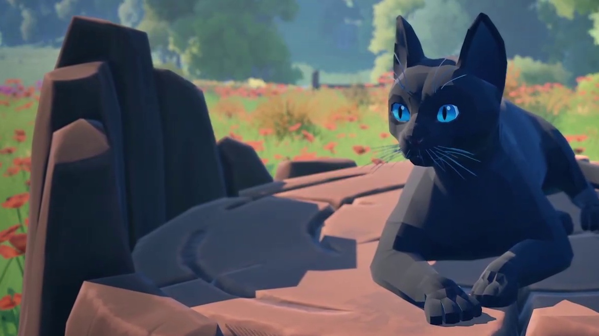 Video: Pokémon Snap mit Katzen: In Cat a Photo werdet ihr zum professionellen Katzenfotografen