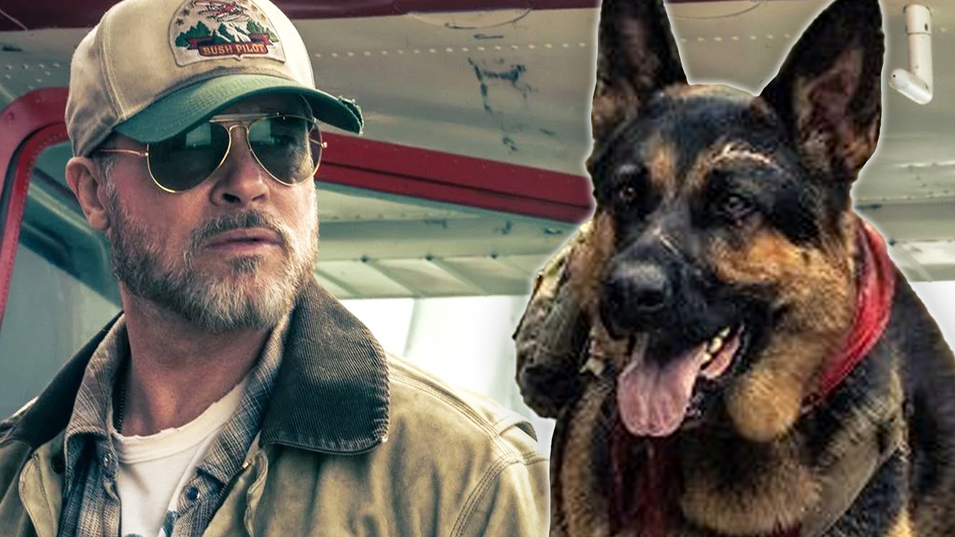 Video: Ihr denkt, Brad Pitt ist der Star des neuen Action-Thrillers Eiserne Wildnis? Nein, es ist sein pensionierter Militärhund Odin!