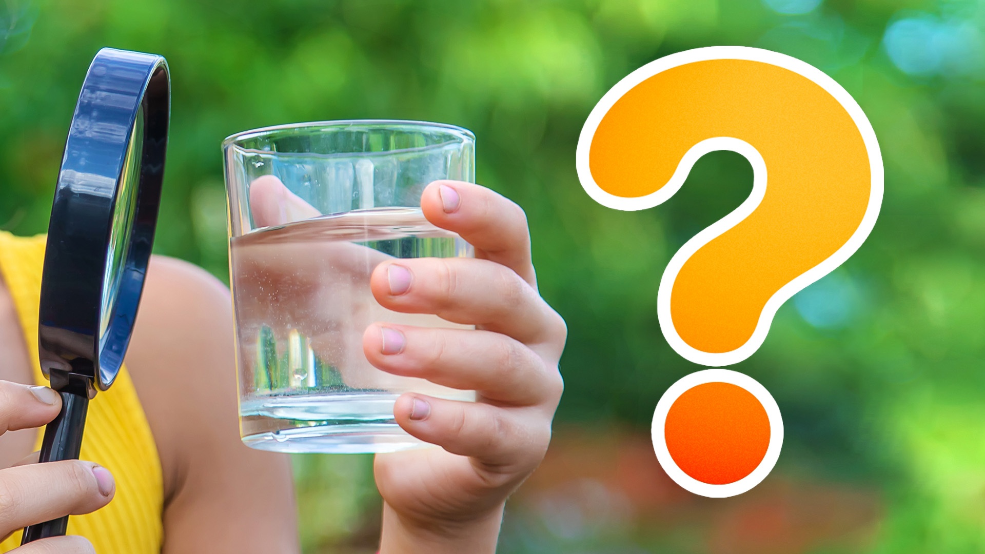 Studie ermittelt, welches Getränk uns am meisten Flüssigkeit spendet: Wasser nicht einmal auf dem Siegertreppchen, Methodik bestätigt