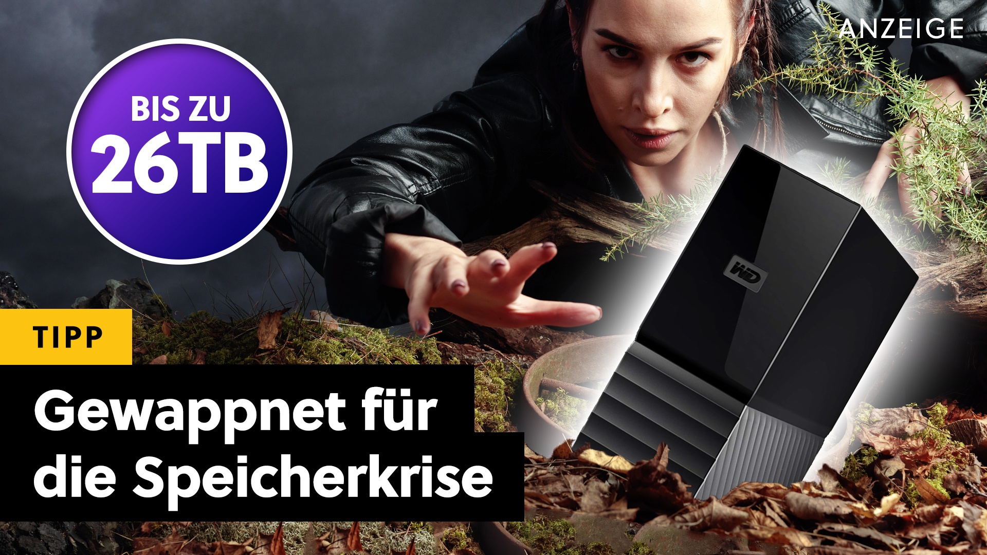 Deals: Speicher wird teuer - Externe Festplatten können die Lösung für die Krise sein [Anzeige]