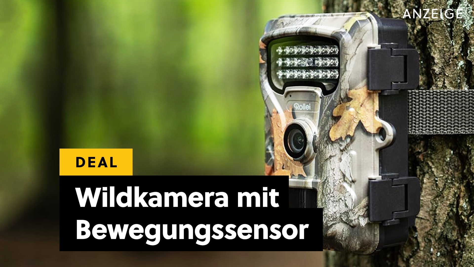 Deals: Wildkamera - Fangt die Natur auf ganz besondere Art und Weise ein [Anzeige]