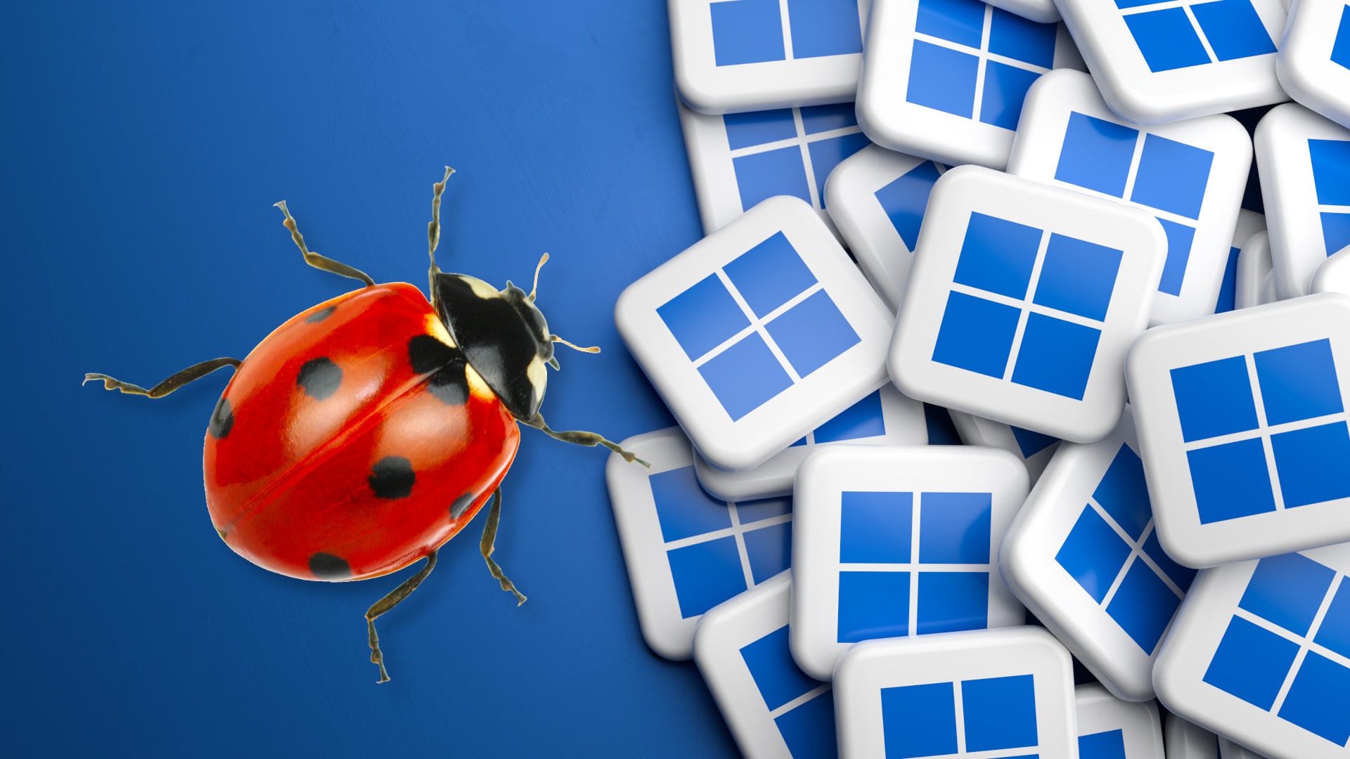 #Neuer Fehler unter Windows 11 sorgt für Abstürze bei Sicherheitssoftware