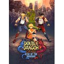 Double Dragon Gaiden: Rise Of The Dragons