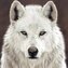 Whitewolf2007