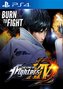 THE KING OF FIGHTERS XIV - SPECIAL ANNIVERSARY EDITION