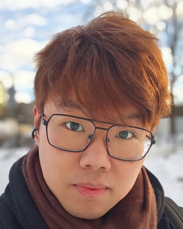 Profilbild von Duy Linh Dinh