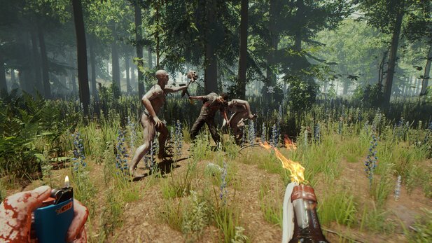 Sons of the Forest: Crossplay & Multiplayer im Überblick - CHIP