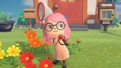 Things to watch out for when catching bugs in Animal Crossing: New Horizons