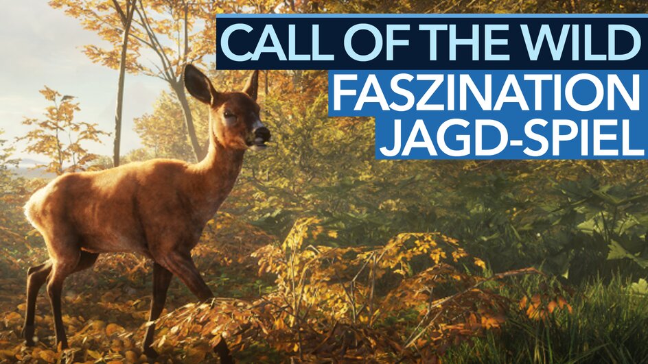 The Hunter Call of the Wild im Test Der amtierende Waldmeister