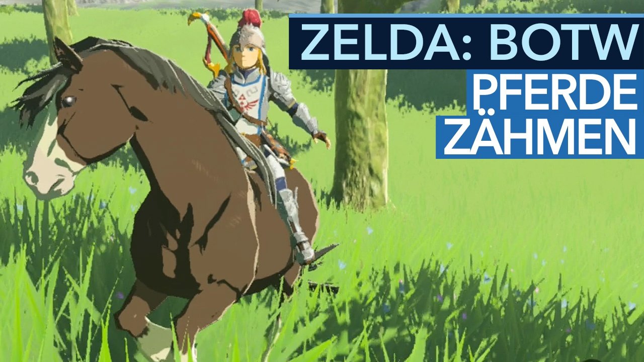 The Legend of Zelda: Breath of the Wild - Tipp-Video: Pferd bekommen, zähmen, reiten + registrieren