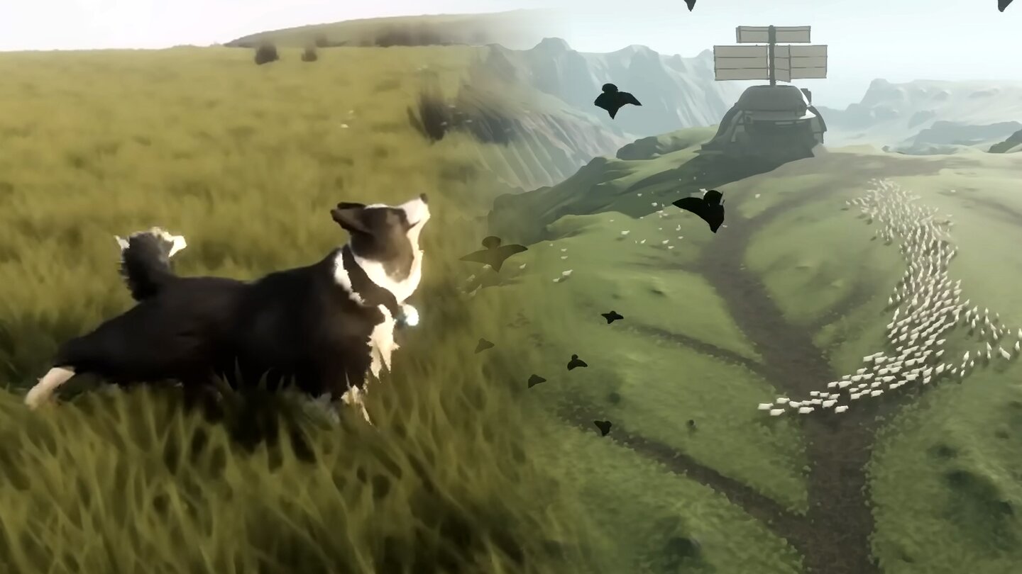 Ich brauche das sofort - Der Hütehund eines malerischen kleinen Indie-Spiels erobert Herzen bei den Game Awards