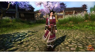 Age of Wulin