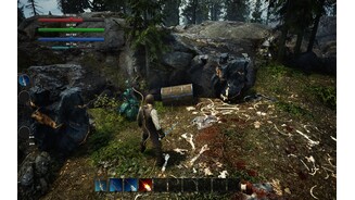 Asterfel - Screenshots aus dem Playtest
