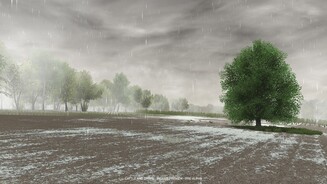 Cattle and Crops