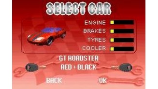 Choose the kind of car you would like to use and what color combination you want for it