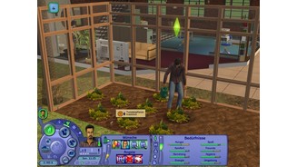 Die Sims 2 Vier Jahreszeiten 1