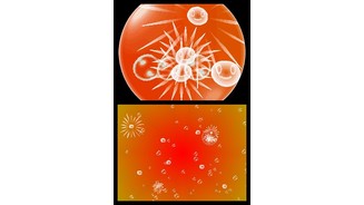 ElectroplanktonDS-8644-248 4