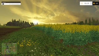 Landwirtschafts-Simulator 15Das optische Feedback auf den Feldern stimmt. Hier begutachten wir unseren wachsenden Raps in der Abendsonne.