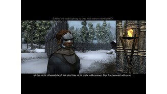 Neverwinter Nights 2: Mask of the Betrayer 9