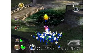 Blue Pikmin are useful in water-filled areas.