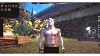 Project Gorgon